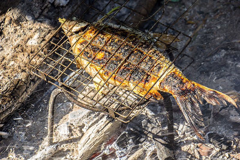 cooking fish in a grill basket on a campfire
